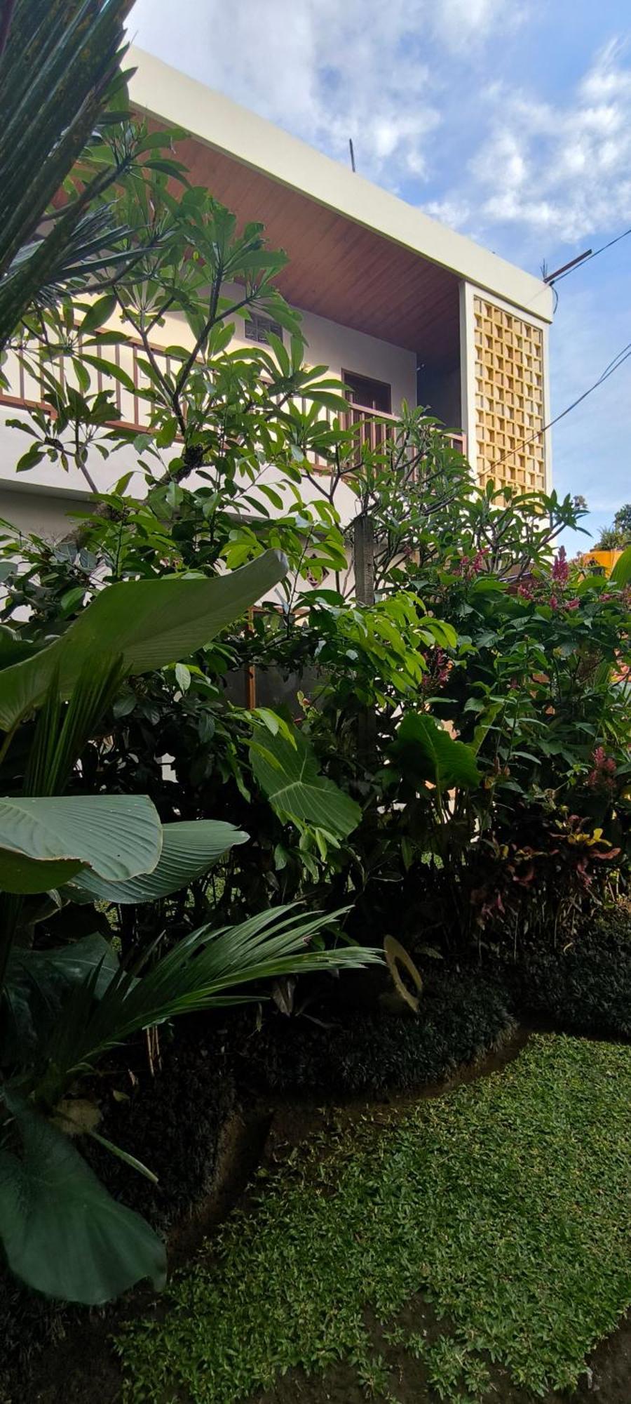 Bhuana Shanti Homestay Ουμπούντ Εξωτερικό φωτογραφία